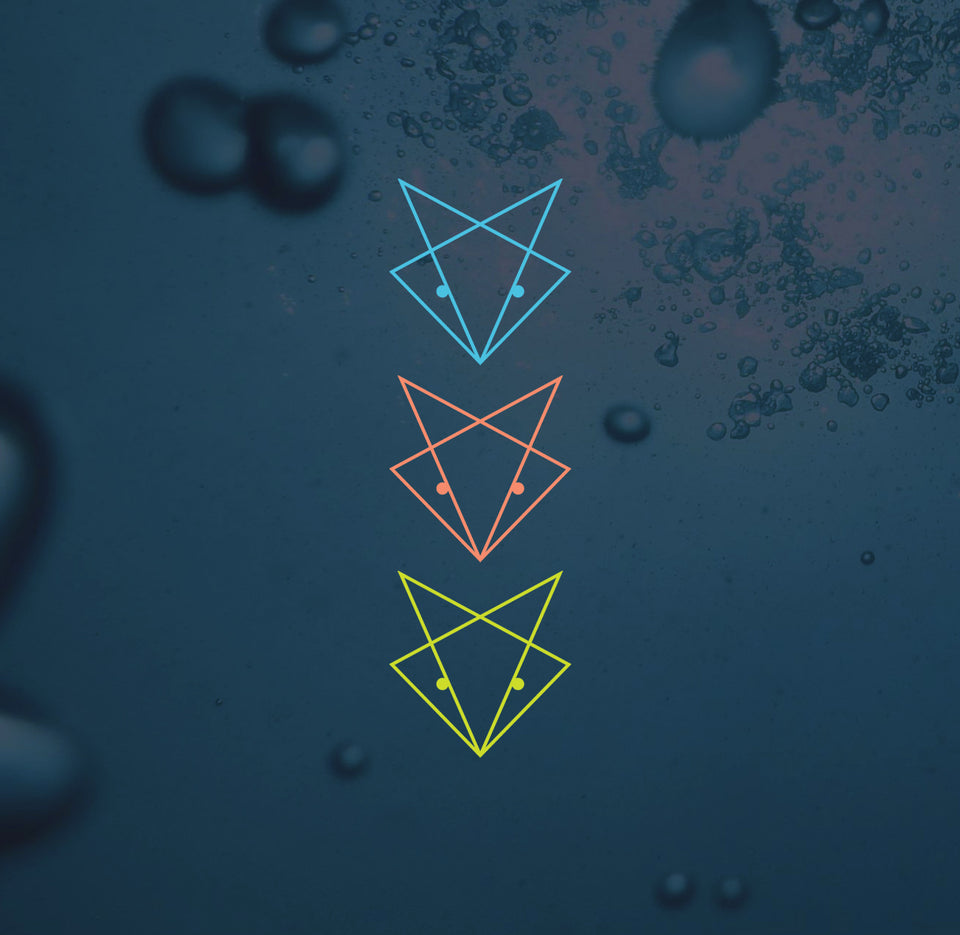 collections/bright-fox-drinks.jpg